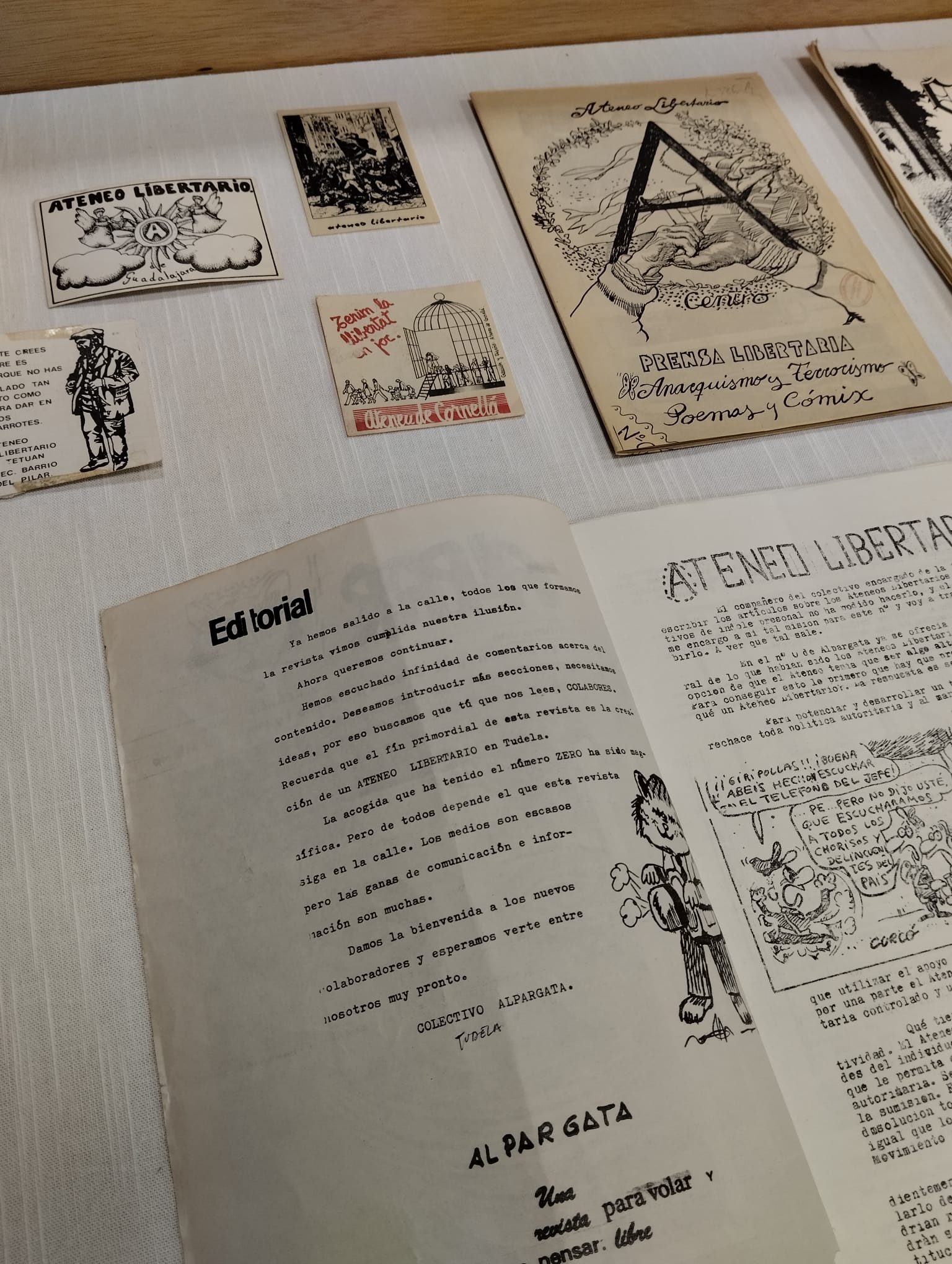 cultura autogestión inés molina